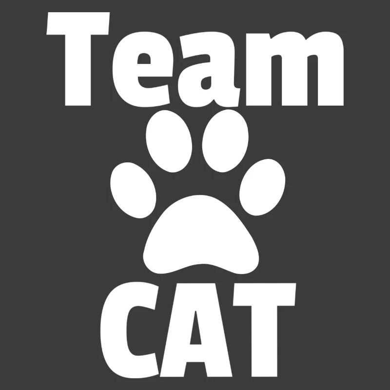 Equipe CAT