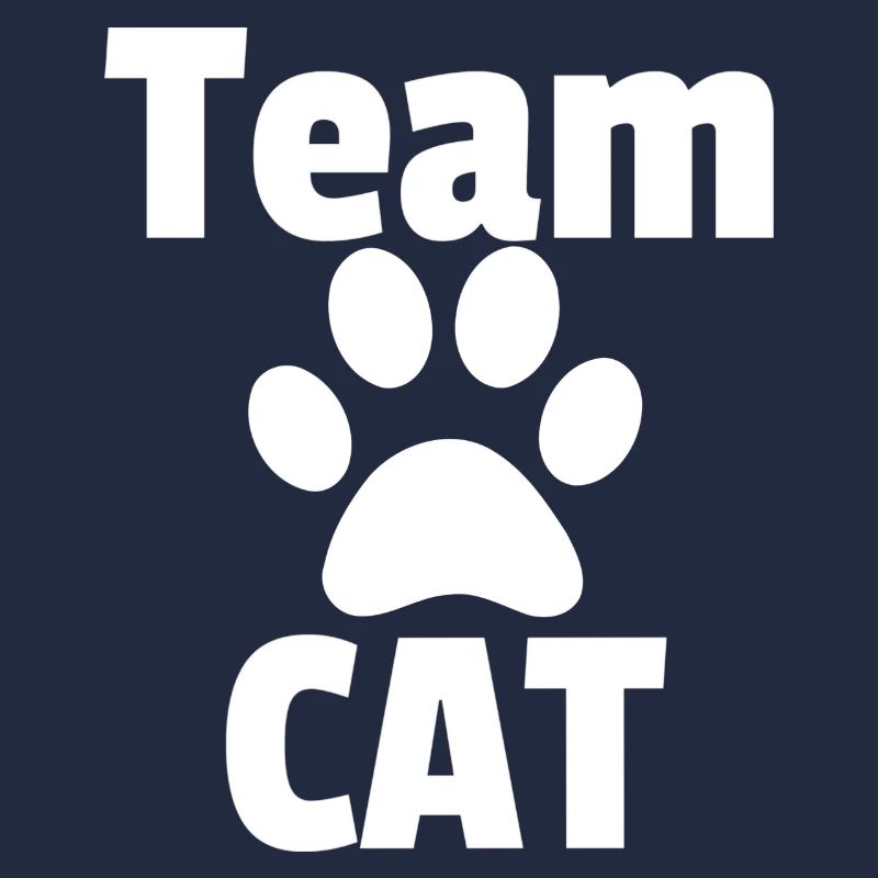 Equipe CAT