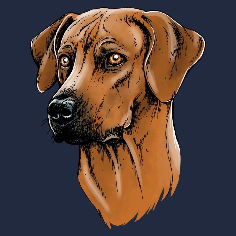 Rhodesian Ridgeback