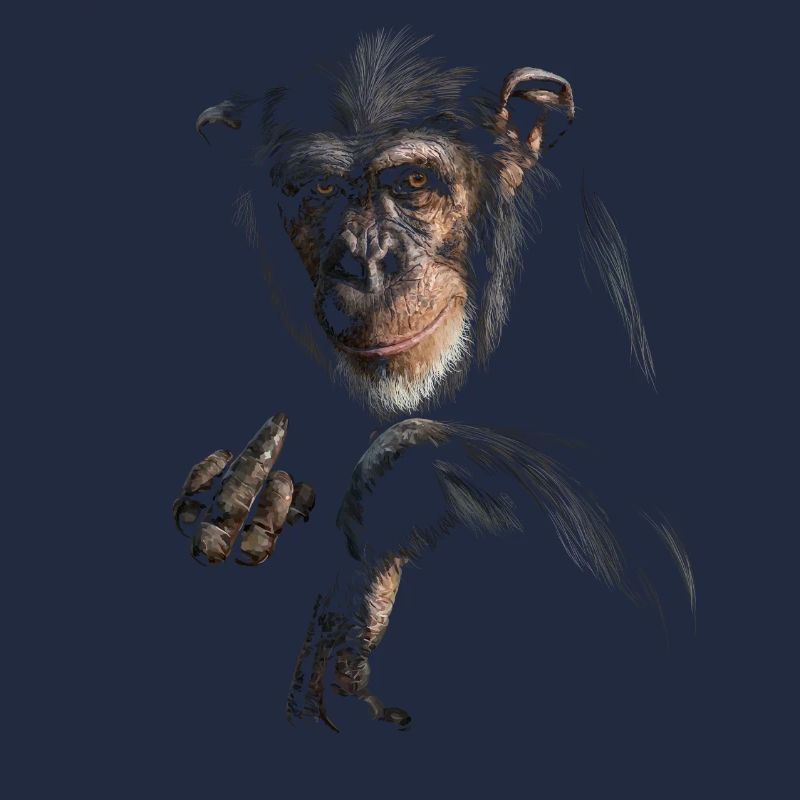 Chimpanzé