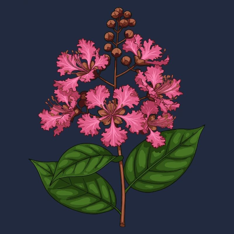 Loropetalum chinense