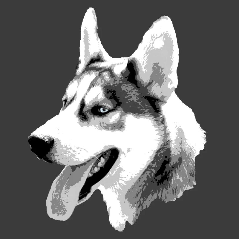 Husky Head Contrast Drawing