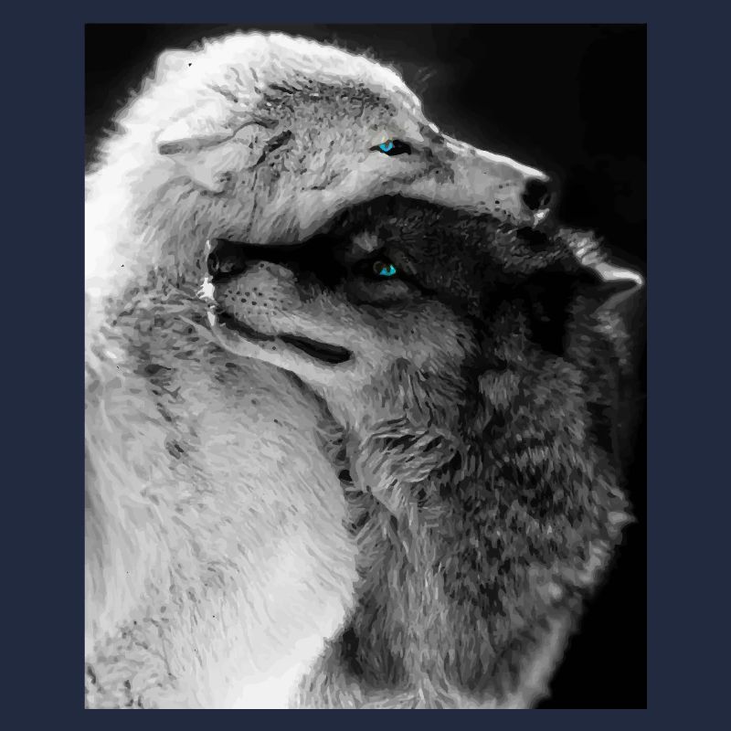 Two Wolves Hugging Blue Eyes
