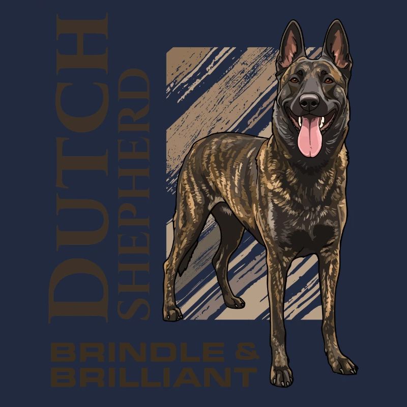 Berger hollandais - Dutchie