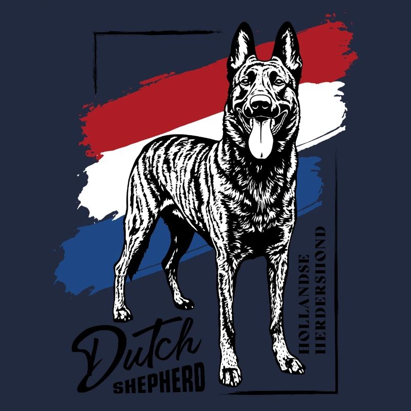 Dutch Shepherd - Dutchie 