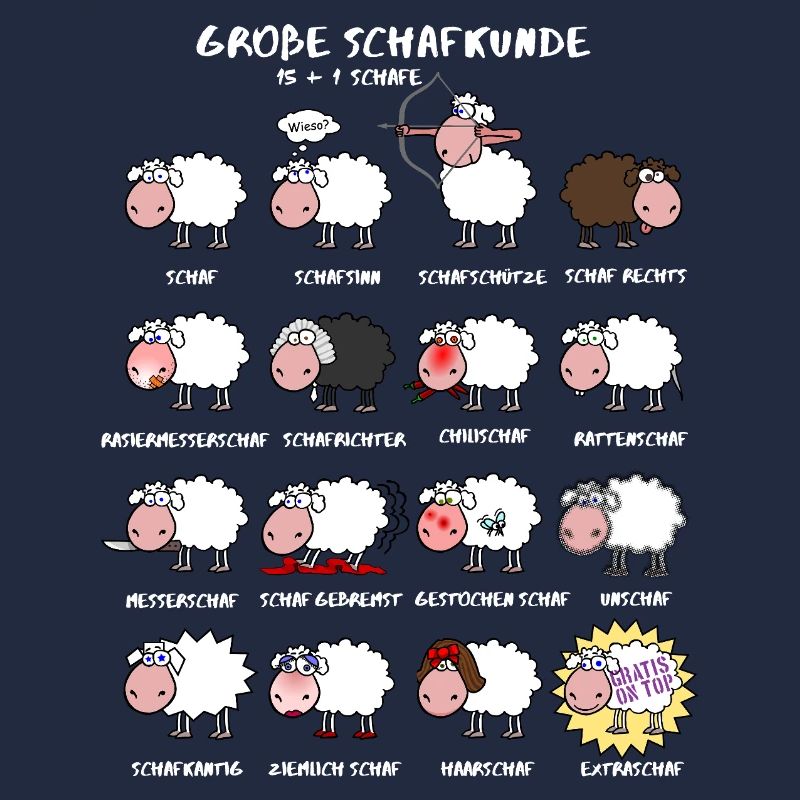 Great sheep knowledge