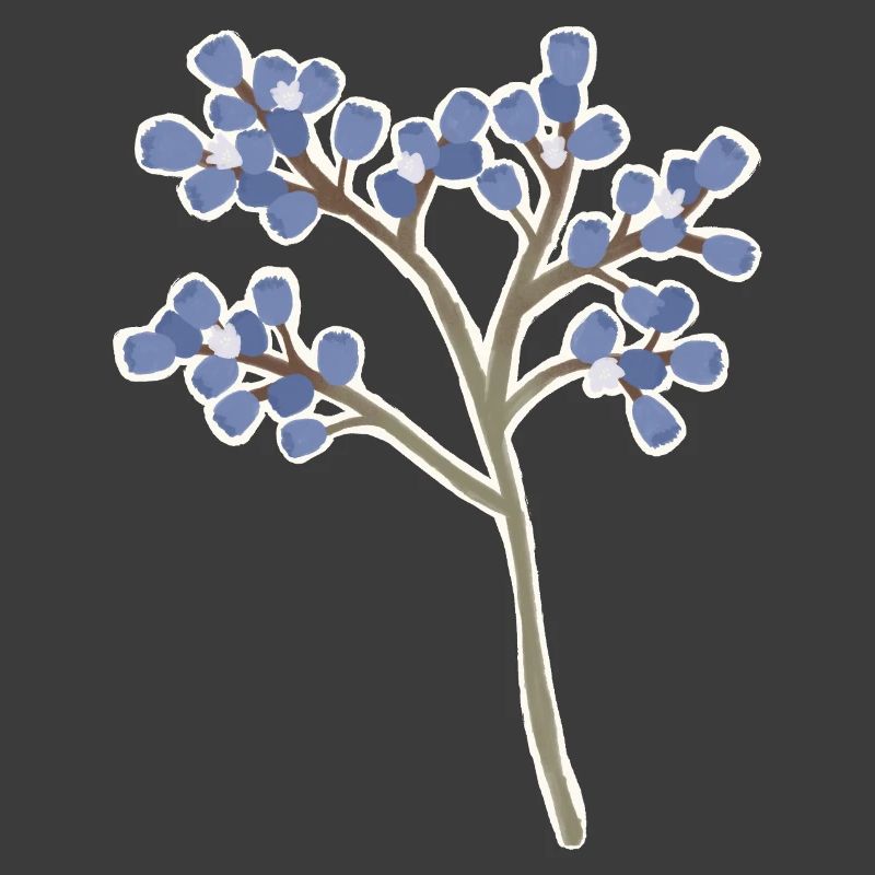 Meerlavendel