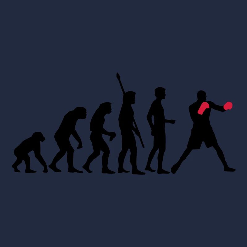 evolution_boxen_b_2c