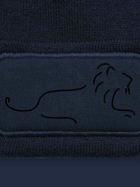 löwe mit mähne