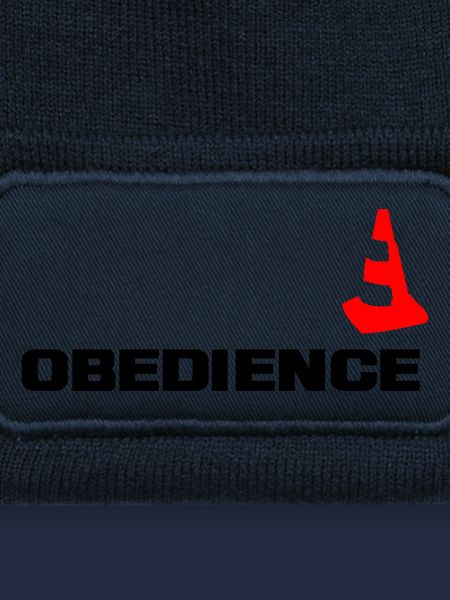 Obedience mit Pylone