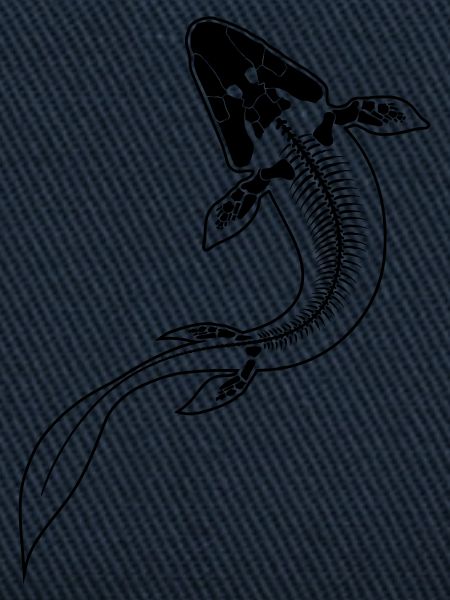 Tiktaalik