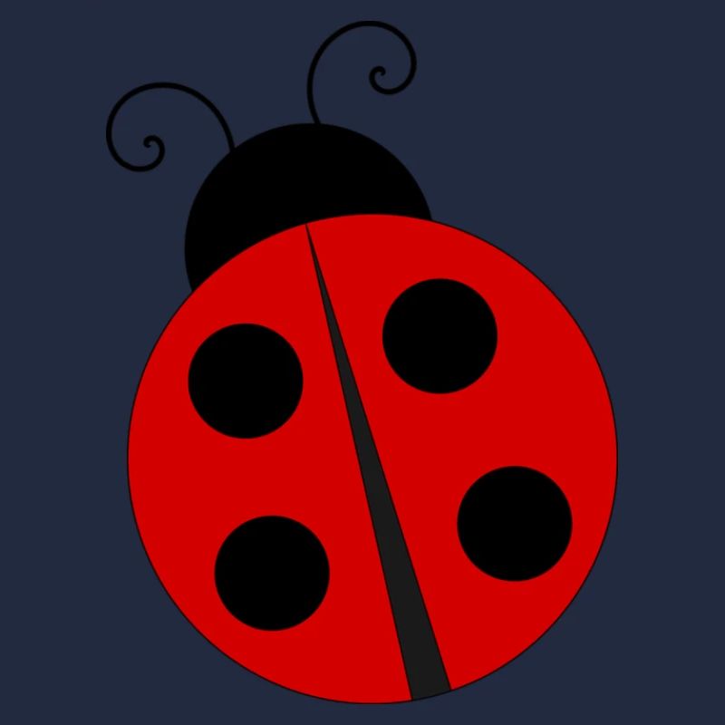 Marienkäfer