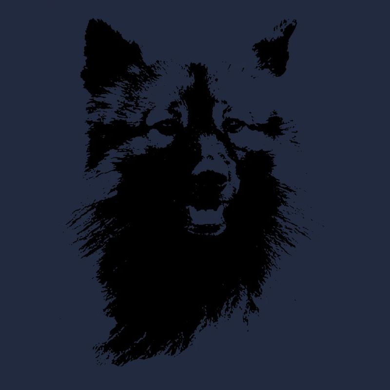 Wolfsspitz Kopf