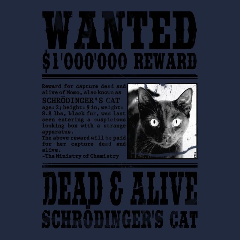 le chat de schrödinger noir