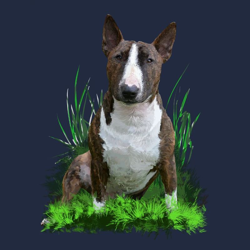 Bullterrier