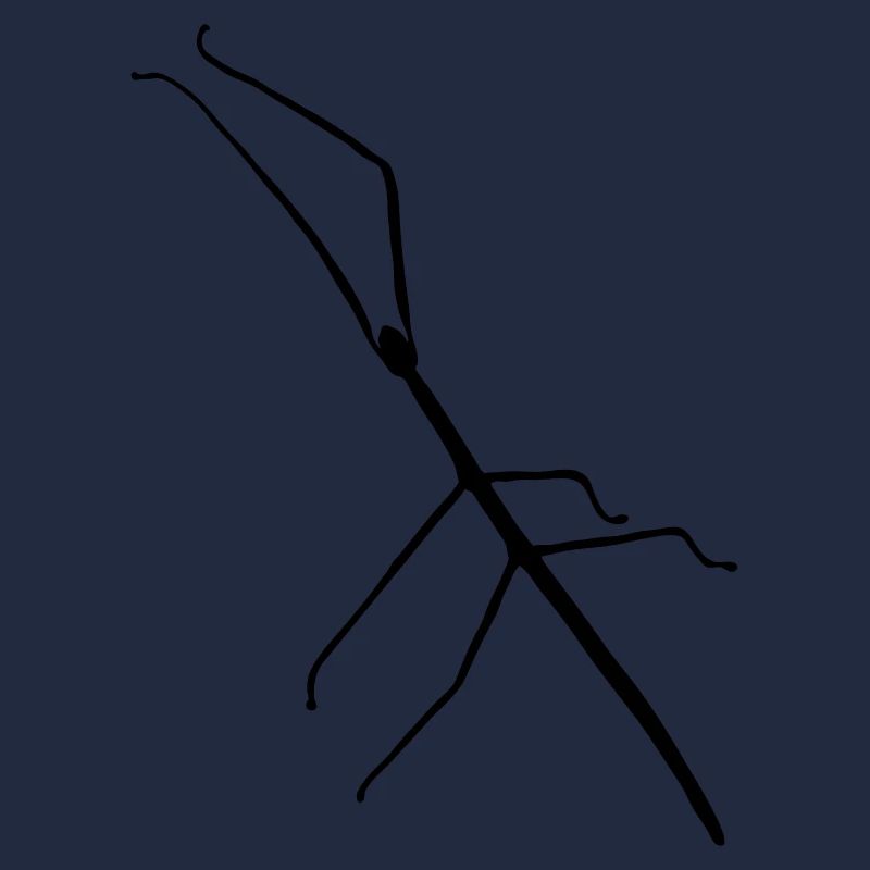 bois_ d'insectes_s1