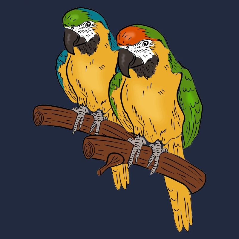 perroquets