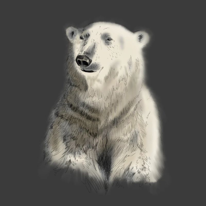 Eisbär