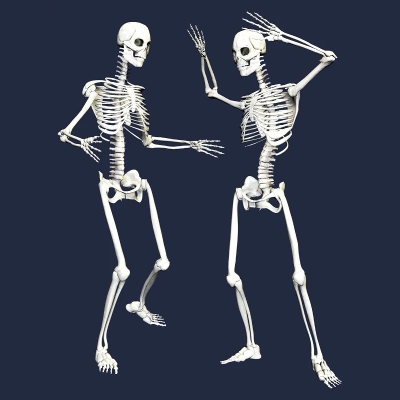 dance dd