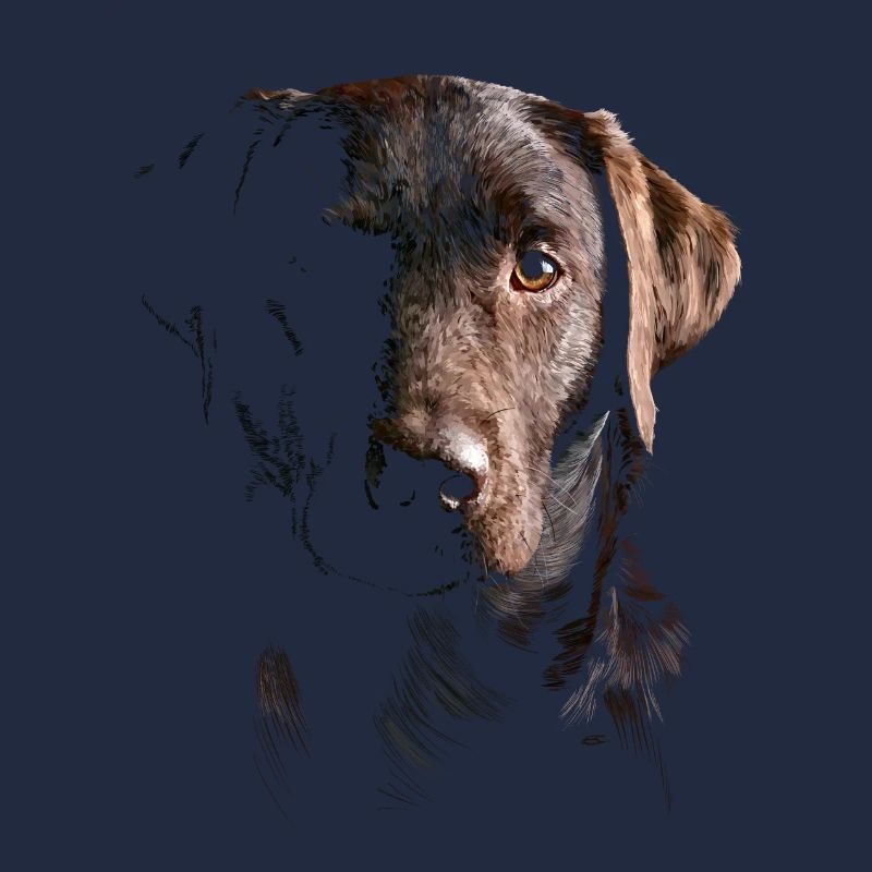 Labrador