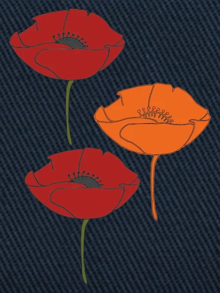 mohnblumen und orange
