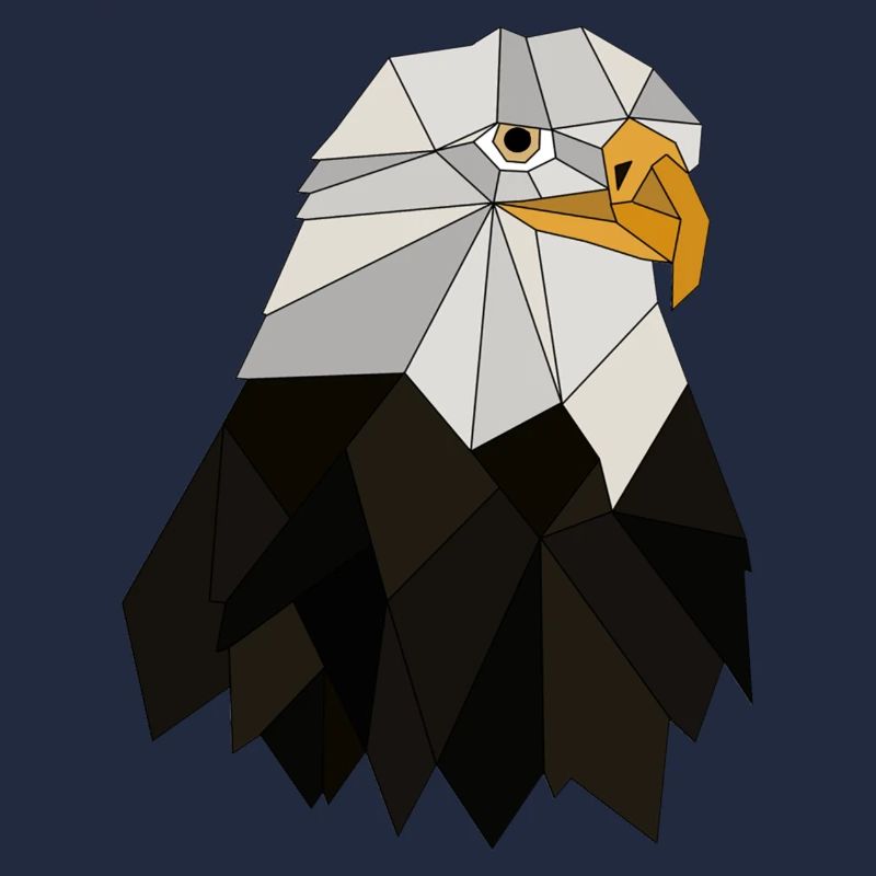 Eagle geometric