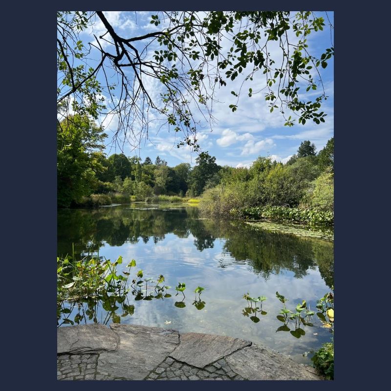 Spiegelsee im Waldrand