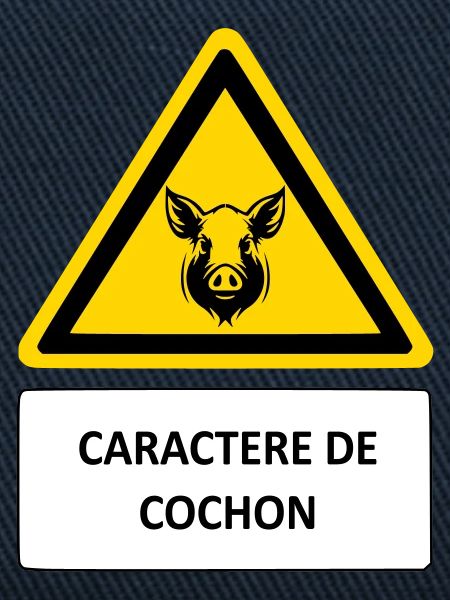 Pig character