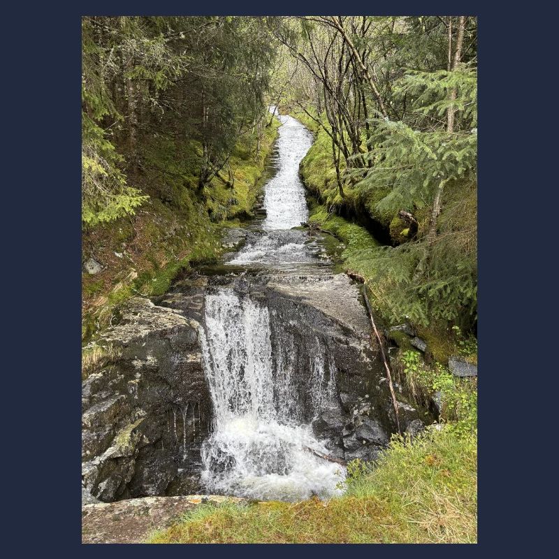 Conception de cascade de parc naturel