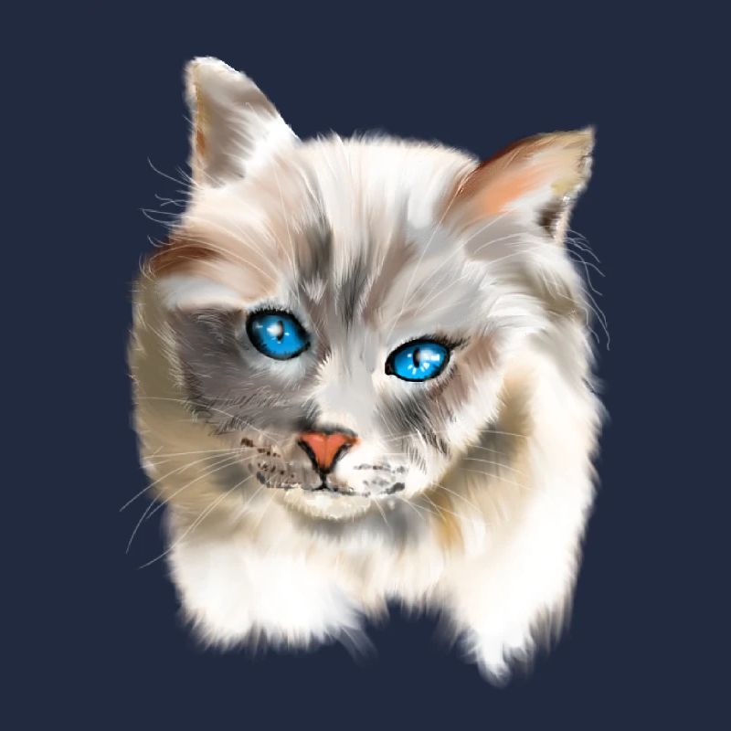 Blue Eyes Cat