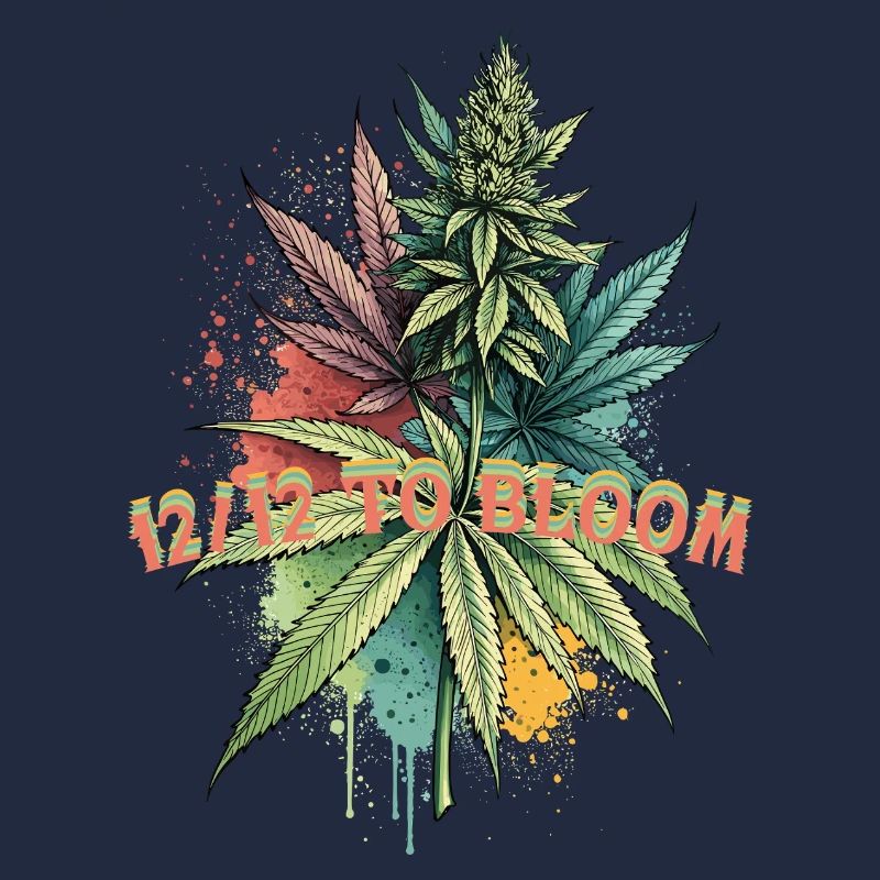 12 /12 to bloom