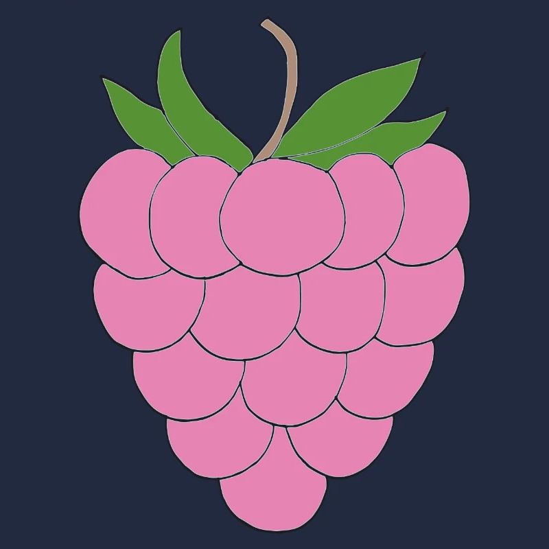 Pink Raspberry Illustration