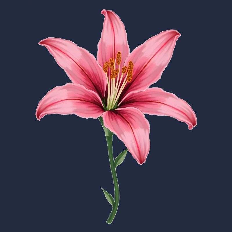 Rosa Lilie