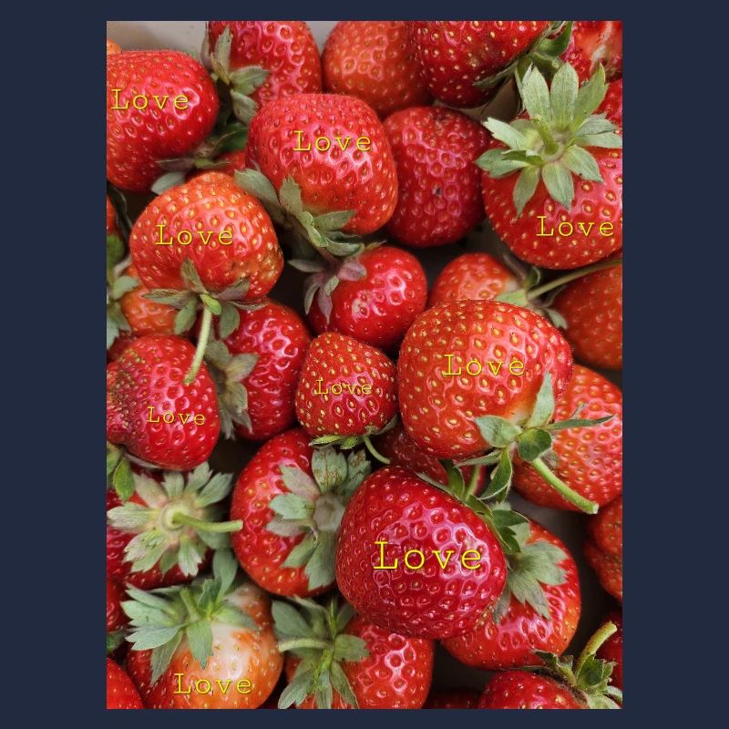 Fraises