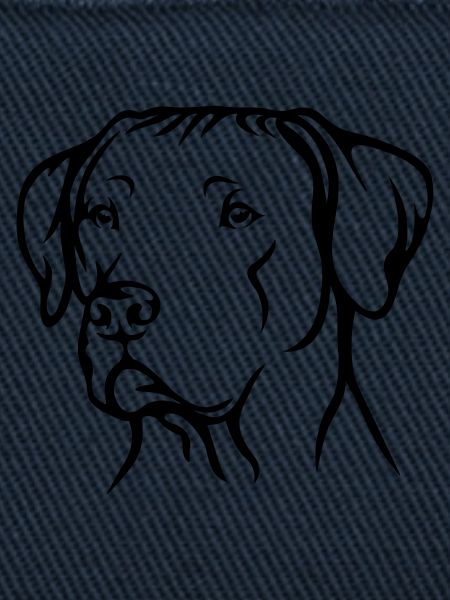 Rhodesian Ridgeback