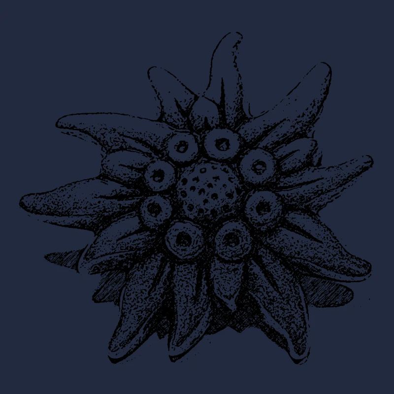edelweiss