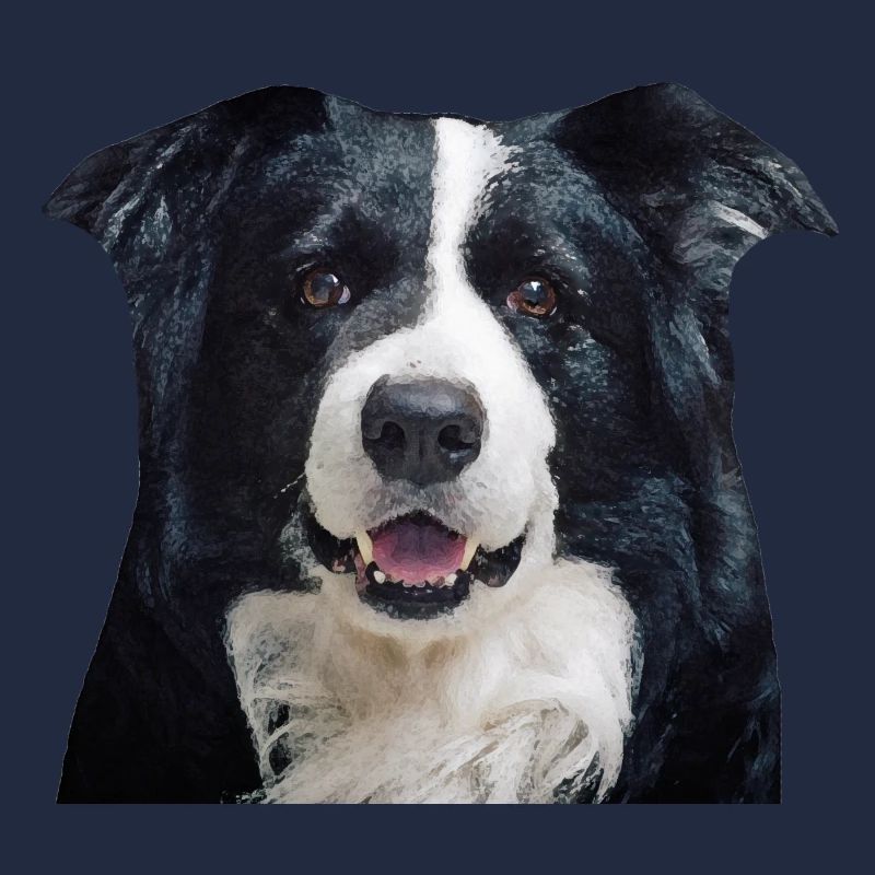Border-Collie