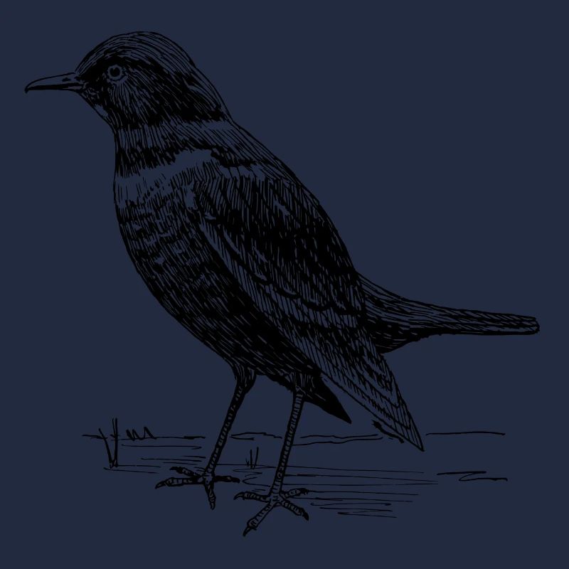 Amsel