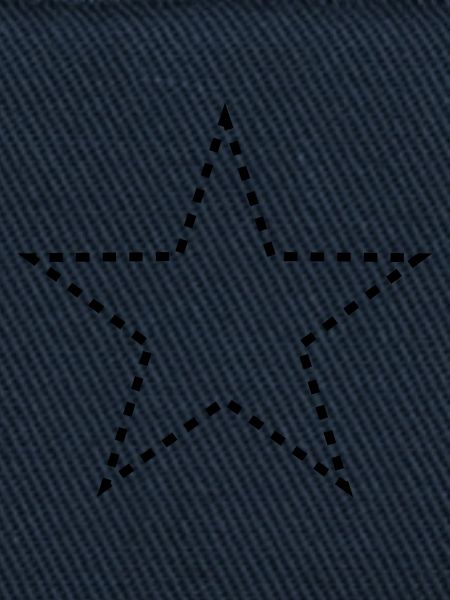 dashed_star_1c