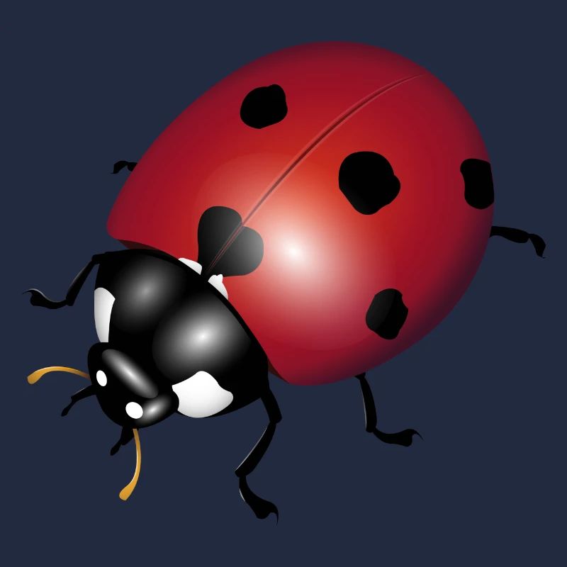 ladybugs