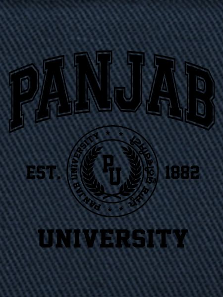 Panjab University