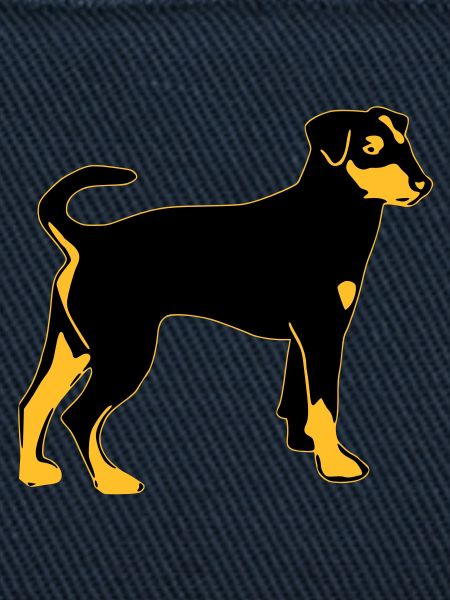 pinscher dog