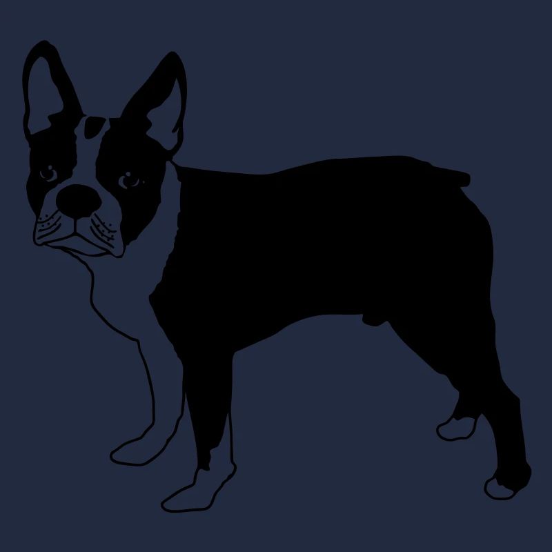 Boston terrier de