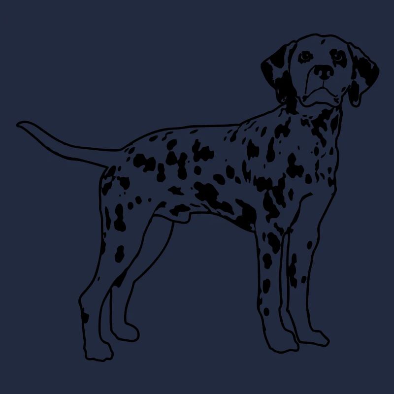 Dalmatian de