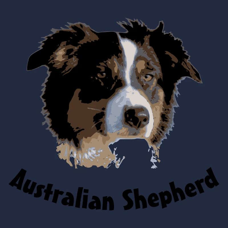 australian shepherd aussie sheep herd cattle