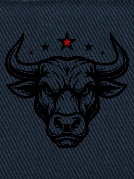 Bull Head Taurus