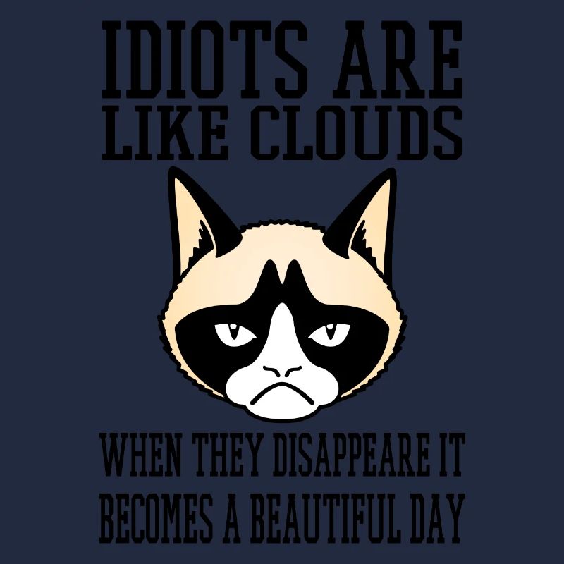 grumpy cat Idiots like clouds