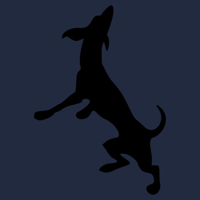 Hund