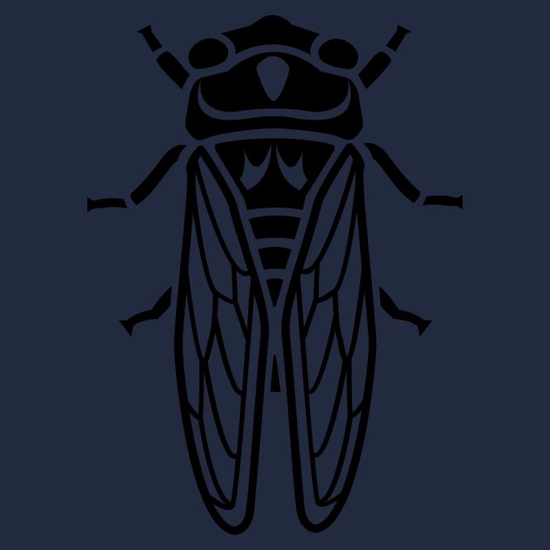 Cicada - insect
