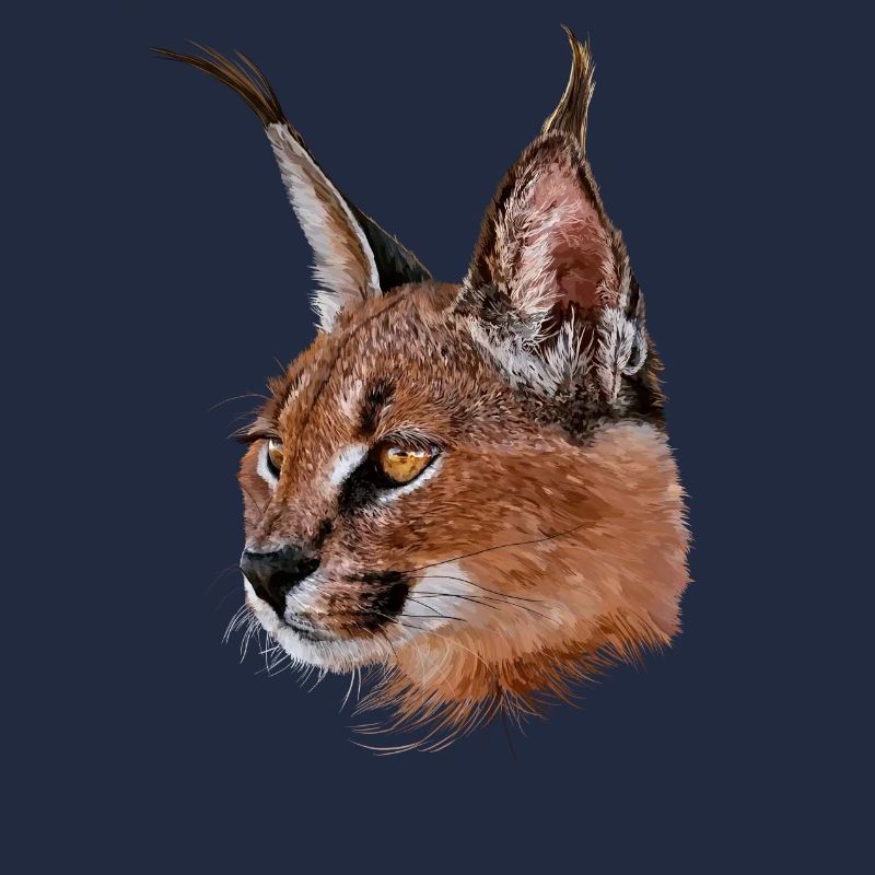 Caracal